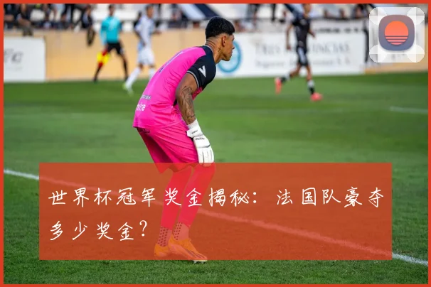 世界杯冠军奖金揭秘：法国队豪夺多少奖金？