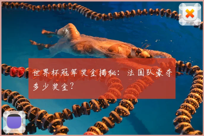 世界杯冠军奖金揭秘：法国队豪夺多少奖金？