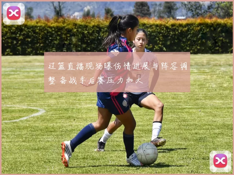 辽篮直播现场曝伤情进展与阵容调整 备战季后赛压力加大