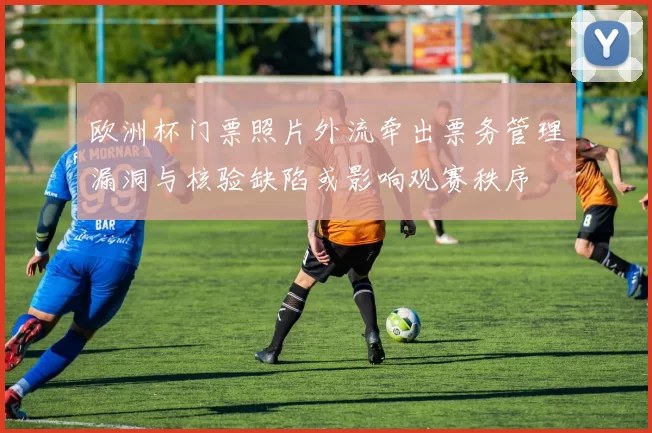 欧洲杯门票照片外流牵出票务管理漏洞与核验缺陷或影响观赛秩序