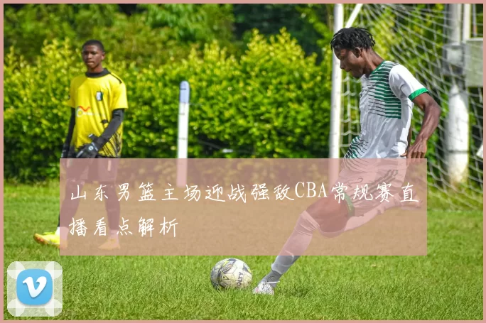 山东男篮主场迎战强敌CBA常规赛直播看点解析