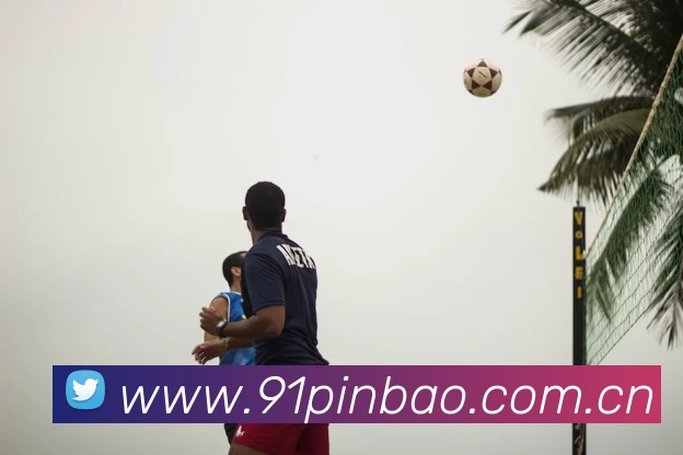 App Interface Preview